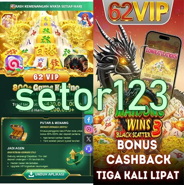 setor123 APK